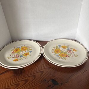 2 Hearthside Casual Elegance 10.5” Dinner Plates Stoneware Japan Replacements
